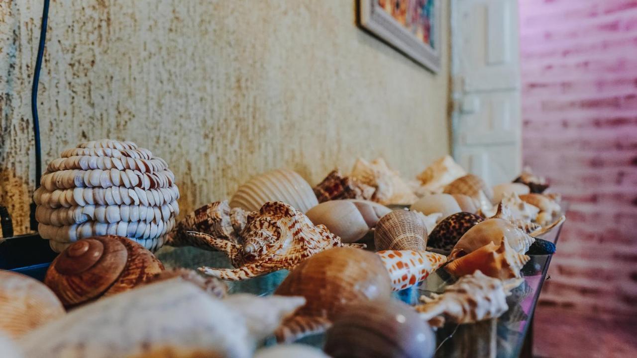 Hostel Paraiso أرايال دو كابو المظهر الخارجي الصورة